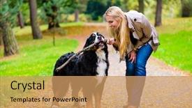  Presentation with dog park - Presentation design consisting of dogs people - woman and dog at retrieving background and a coral colored foreground