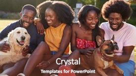  Presentation with sad dog abandoned dogs - Slide deck enhanced with dogs sitting in a garden background and a tawny brown colored foreground