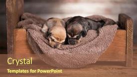  Presentation with sleep - 