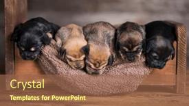  Presentation with sleep - 