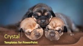  Presentation with sleep - 