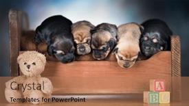  Presentation with sleep - 