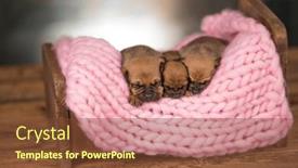  Presentation with sleep - 