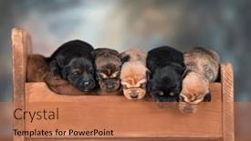  Presentation with sleep - 