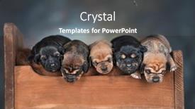  Presentation with sleep - 