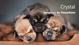  Presentation with sleep - 