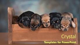  Presentation with sleep - 