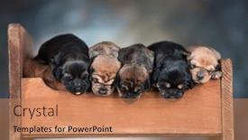  Presentation with sleep - 