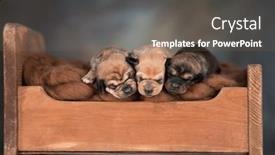  Presentation with sleep - 