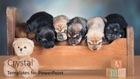  Presentation with sleep - 