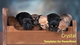  Presentation with sleep - 