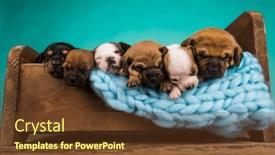  Presentation with sleep - 