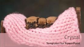  Presentation with sleep - 