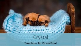  Presentation with sleep - 