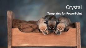  Presentation with sleep - 