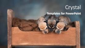  Presentation with sleep - 