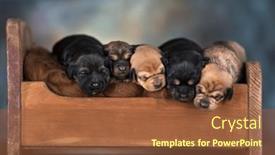  Presentation with sleep - 