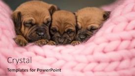  Presentation with sleep - 