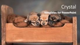  Presentation with sleep - 