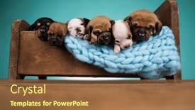  Presentation with sleep - 