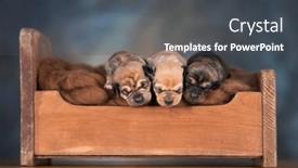  Presentation with sleep - 