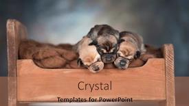  Presentation with sleep - 