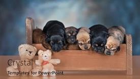  Presentation with sleep - 