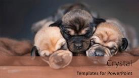  Presentation with sleep - 