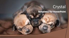  Presentation with sleep - 