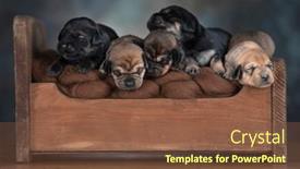  Presentation with sleep - 