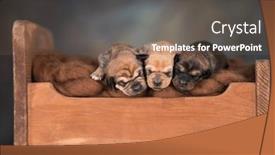  Presentation with sleep - 