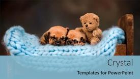  Presentation with sleep - 