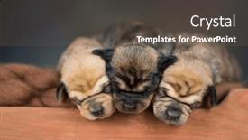  Presentation with sleep - 