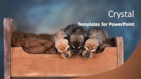  Presentation with sleep - 