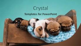  Presentation with sleep - 