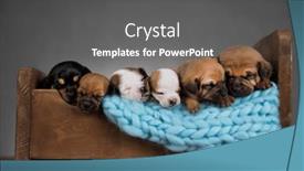  Presentation with sleep - 