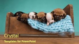  Presentation with sleep - 