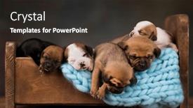  Presentation with sleep - 