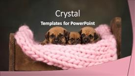  Presentation with sleep - 