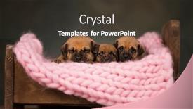  Presentation with sleep - 