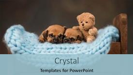  Presentation with sleep - 