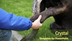  Presentation with paw - Audience pleasing PPT theme consisting of dogs training - dog giving paw to cute backdrop and a  colored foreground