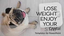  Presentation with motivation - Audience pleasing slides consisting of dogs training - motivation quote lose weight enjoy backdrop and a light gray colored foreground