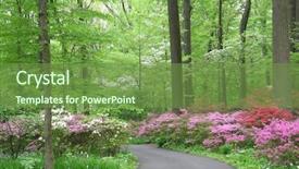  Presentation with dogwood - Presentation theme consisting of dogwood - azalea woodland background and a  colored foreground