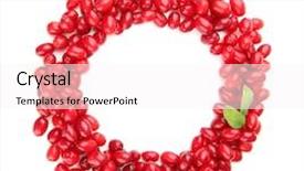  Presentation with berries - Audience pleasing theme consisting of dogwood - fresh cornel berries isolated backdrop and a  colored foreground