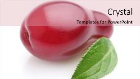  Presentation with drugs medical cannabis leaf - Colorful PPT theme enhanced with dogwood - one cornel with leaf backdrop and a  colored foreground