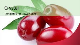  Presentation with dogwood - Beautiful presentation theme featuring dogwood - three cornels isolated backdrop and a mint green colored foreground