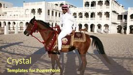  Presentation with stallion - PPT theme having doha-february-3-a-rider background and a violet colored foreground