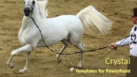  Presentation with qatar - 