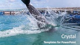  Presentation with dolphin - Audience pleasing presentation theme consisting of dolphin jump into water backdrop and a teal colored foreground